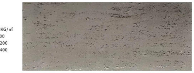Travertine DS398