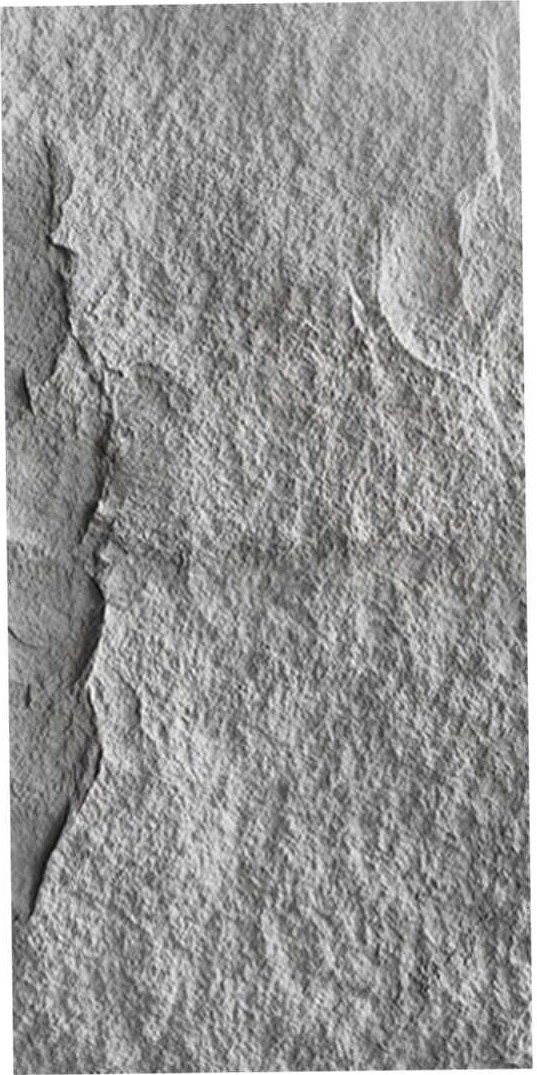 Cement Gray
